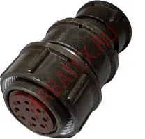 2РМТ22КПЭ10Г1А1В разъём фото